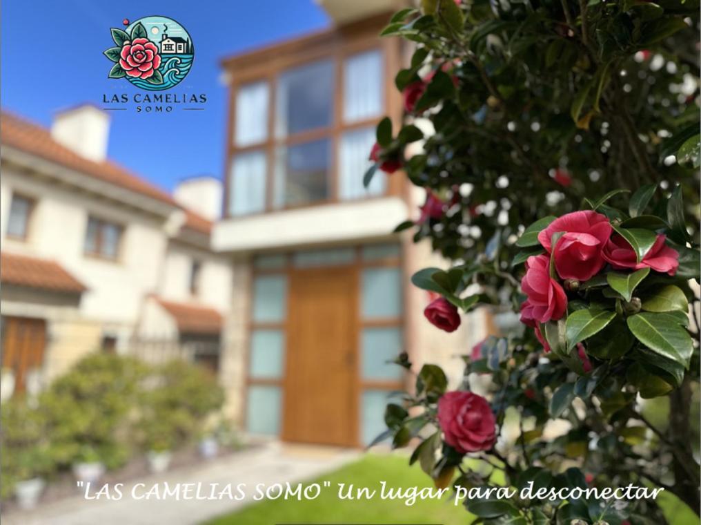 "Las Camelias Somo" Un Lugar Para Desconectar!! Vistas Al Mar!! Exteriör bild